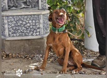Harmony genießt jede Aufmerksamkeit