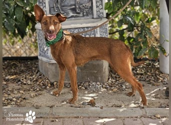 Harmony genießt jede Aufmerksamkeit