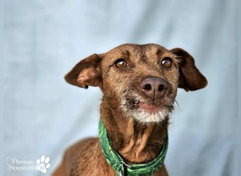 Harmony genießt jede Aufmerksamkeit