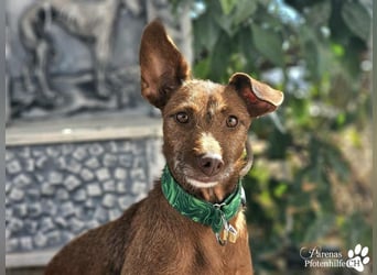 Harmony genießt jede Aufmerksamkeit