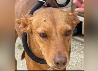 ❤️ESTRELLA❤️