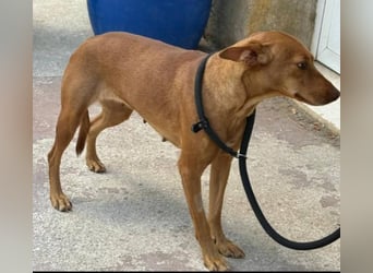 ❤️ESTRELLA❤️