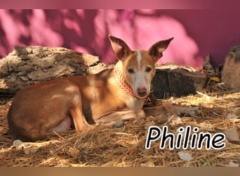 Öffnen Sie ihr Herz für Philine?