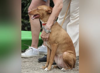 Wunderschöne Venus sucht eine Familie