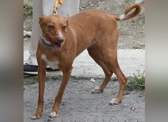 Wunderschöne Venus sucht eine Familie