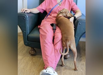 Florinda, freundlich, verspielt, neugierig, bereits in Deutschland