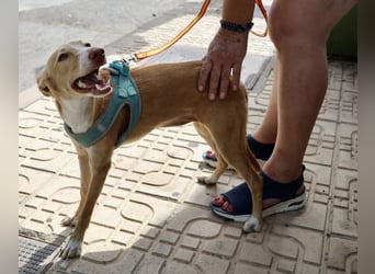 Moka - Freundlich, Zutraulich und Verträglich