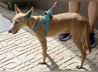 Moka - Freundlich, Zutraulich und Verträglich