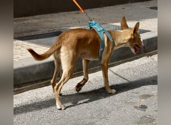 Moka - Freundlich, Zutraulich und Verträglich