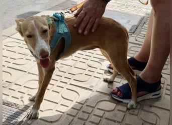 Moka - Freundlich, Zutraulich und Verträglich