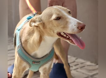 Moka - Freundlich, Zutraulich und Verträglich