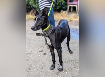 MARLON ist dein Freund fürs Leben