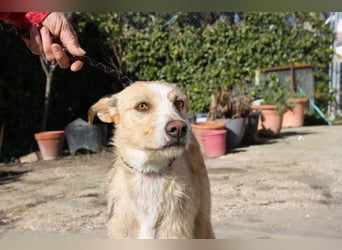 JENNY-bildschönes Mädchen wünscht sich ein tolles Für-immer-Zuhause