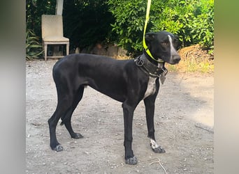 Marlon wartet auf seine Menschen Marlon wartet auf seine Menschen