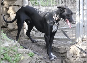 Marlon wartet auf seine Menschen