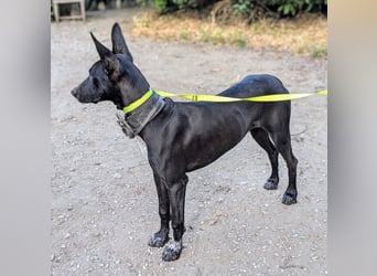 Marlon wartet auf seine Menschen Marlon wartet auf seine Menschen