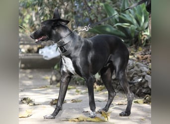 MARLON ist dein Freund fürs Leben