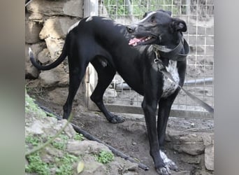 Marlon wartet auf seine Menschen