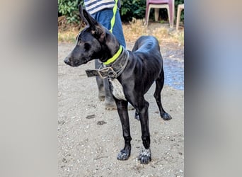 Marlon wartet auf seine Menschen Marlon wartet auf seine Menschen