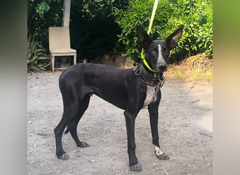 Marlon wartet auf seine Menschen