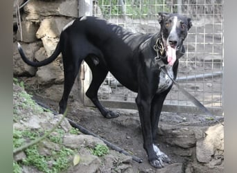 Marlon wartet auf seine Menschen