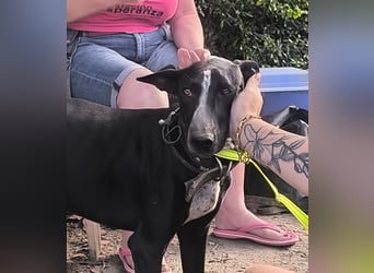 Marlon wartet auf seine Menschen Marlon wartet auf seine Menschen