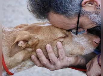 Noa - aufmerksam, verschmust und bewegungsfreudig