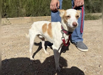 ELIO-friedlicher, ruhiger, ausgeglichener Bub sucht sein warmes, liebevolles Zuhause