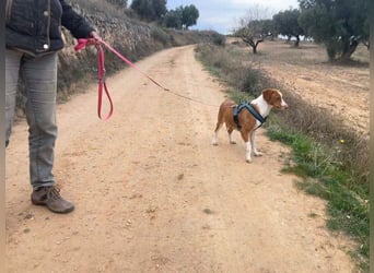 FINTIS- freundliches, bewegungsfreudiges, etwas schüchternes Mädchen sucht ihr liebevolles Zuhause