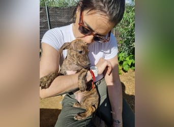 OREGON- ruhig, gelassen, erkundet der kleine Bub die Welt. Fehlt nur noch seine liebevolle Familie