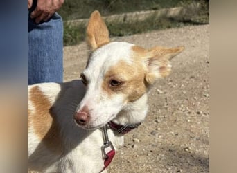 ELIO-friedlicher, ruhiger, ausgeglichener Bub sucht sein warmes, liebevolles Zuhause