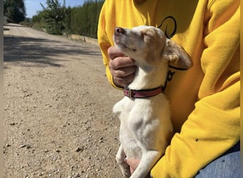 ELIO-friedlicher, ruhiger, ausgeglichener Bub sucht sein warmes, liebevolles Zuhause
