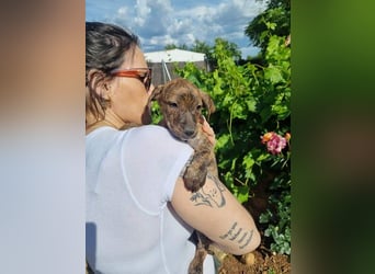 OREGON- ruhig, gelassen, erkundet der kleine Bub die Welt. Fehlt nur noch seine liebevolle Familie