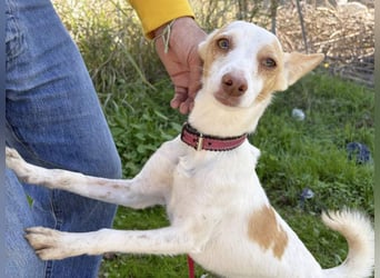 ELIO-friedlicher, ruhiger, ausgeglichener Bub sucht sein warmes, liebevolles Zuhause