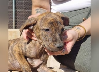 OREGON- ruhig, gelassen, erkundet der kleine Bub die Welt. Fehlt nur noch seine liebevolle Familie