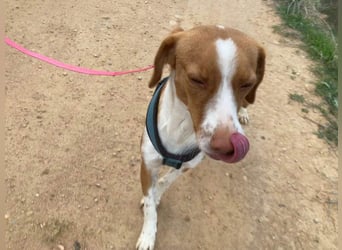 FINTIS- freundliches, bewegungsfreudiges, etwas schüchternes Mädchen sucht ihr liebevolles Zuhause