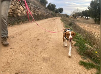 FINTIS- freundliches, bewegungsfreudiges, etwas schüchternes Mädchen sucht ihr liebevolles Zuhause