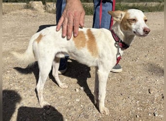 ELIO-friedlicher, ruhiger, ausgeglichener Bub sucht sein warmes, liebevolles Zuhause