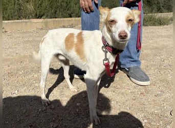 ELIO-friedlicher, ruhiger, ausgeglichener Bub sucht sein warmes, liebevolles Zuhause