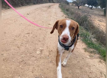 FINTIS- freundliches, bewegungsfreudiges, etwas schüchternes Mädchen sucht ihr liebevolles Zuhause