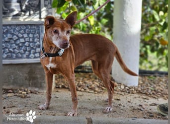 Lumi ist einfach zum Verlieben