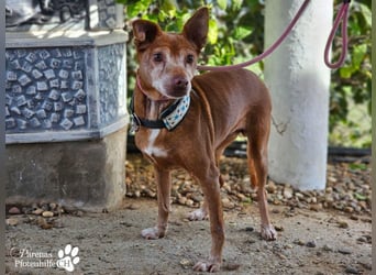 Lumi ist einfach zum Verlieben