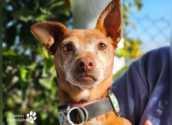 Lumi ist einfach zum Verlieben