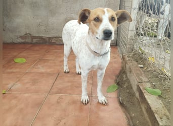 Sara - zutraulich und liebenswert