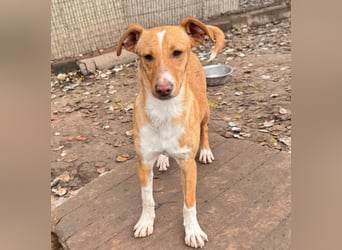 Natalio - freundlich und menschenbezogen