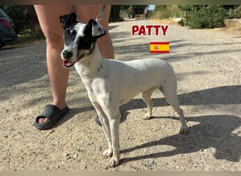 Patty - unkompliziert und sozial