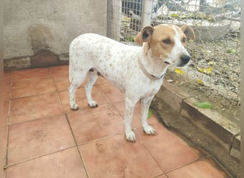 Sara - zutraulich und liebenswert