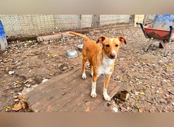 Natalio - freundlich und menschenbezogen