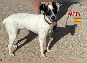 Patty - unkompliziert und sozial