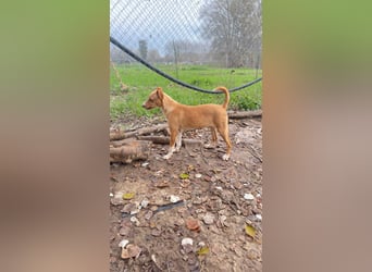 Natalio - freundlich und menschenbezogen